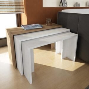 ترابيزة انتريه متداخلة (45×80×61 سم)