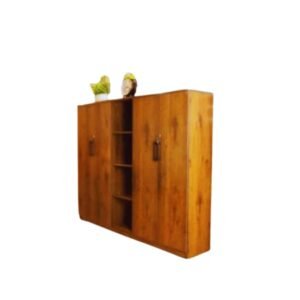 مكتبة خشب بأبواب ورفوف